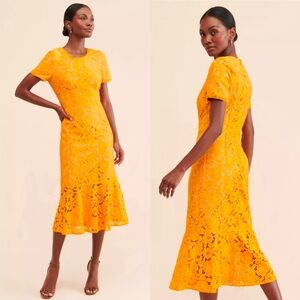 Rachel Parcell Yellow Fitted Lace Midi Dress